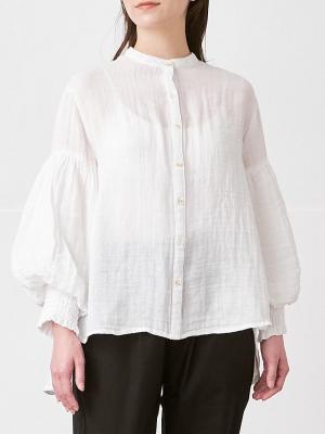 バンドカラーボリューム袖ブラウス　綿ダブルガーゼ